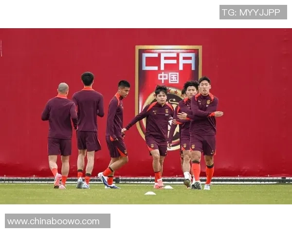 国足进中超的意义与挑战探讨，如何推动中国足球的全面发展与国际化进程